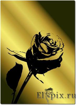 роза 3 - оригинал