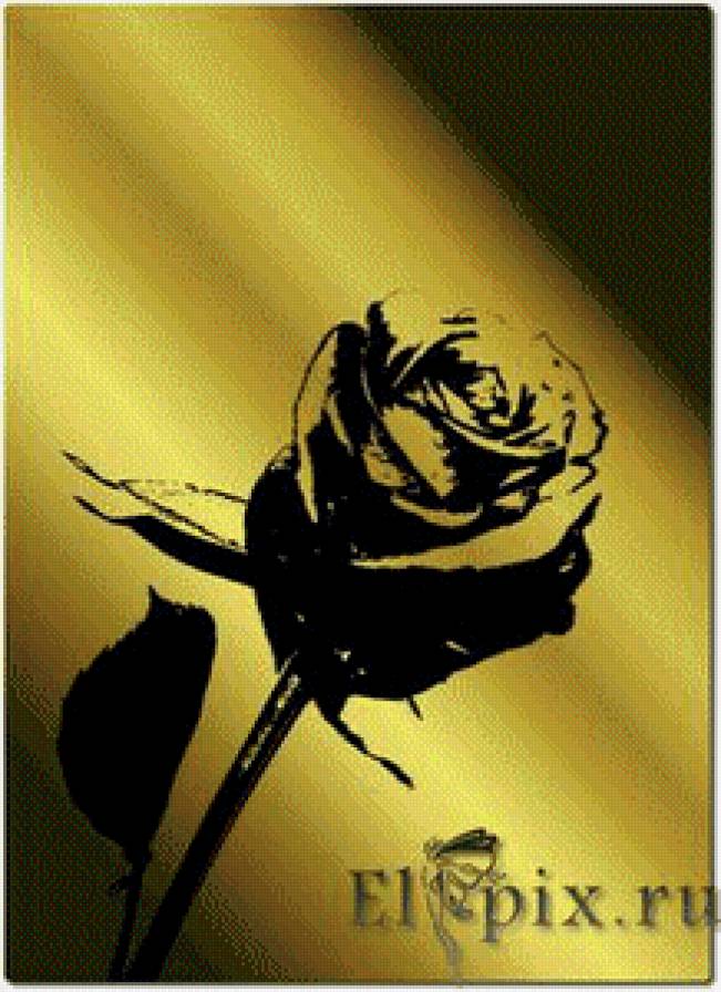 роза 3 - предпросмотр