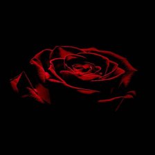 Схема вышивки «роза5»