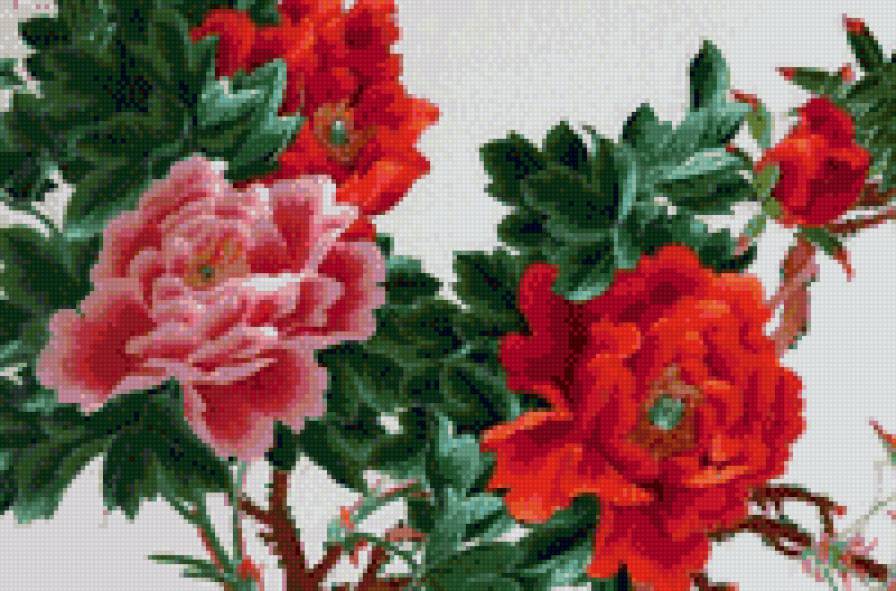 №915955 - предпросмотр