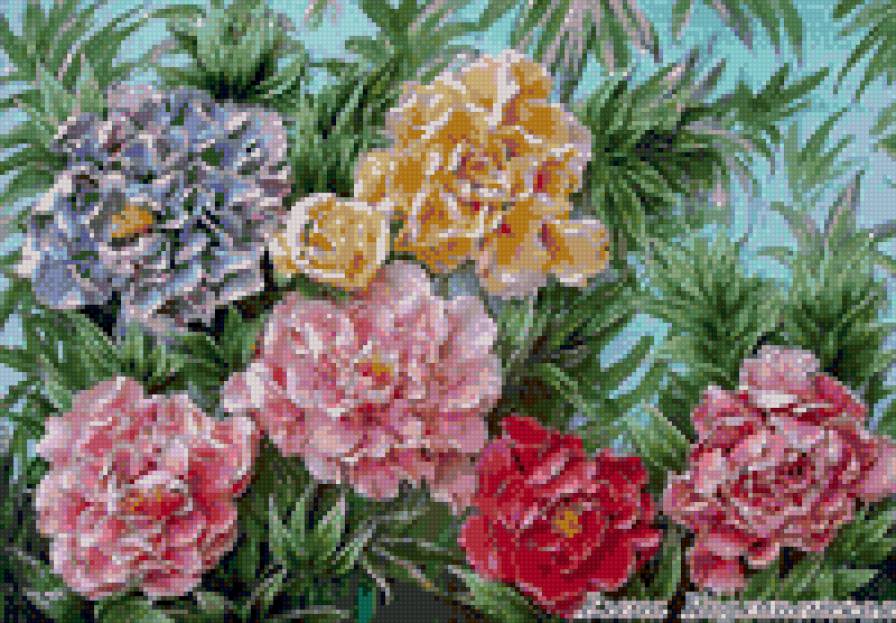 №915956 - предпросмотр