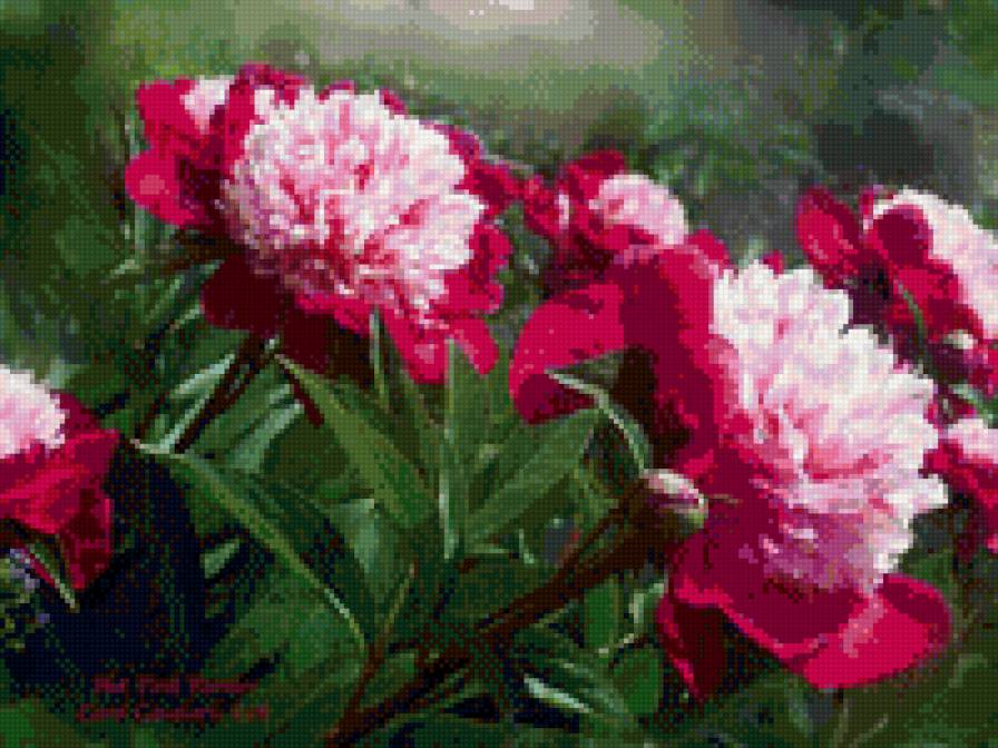 №915957 - предпросмотр