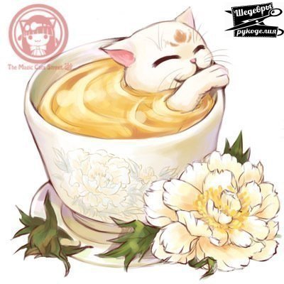 чашка кота 6 - кошка, животные, чай - оригинал