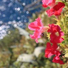 Схема вышивки «Испания»