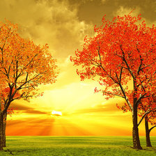 Схема вышивки «в золоте»