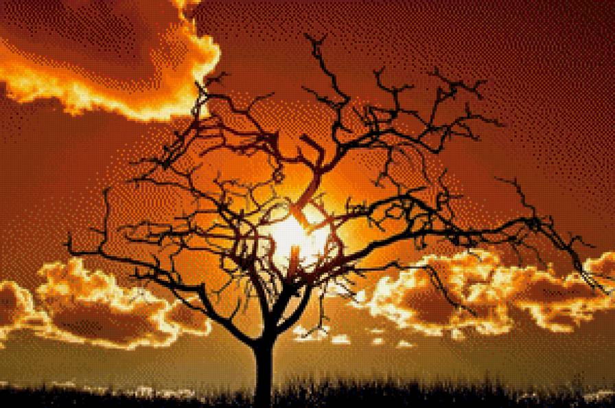 №916313 - красота - предпросмотр