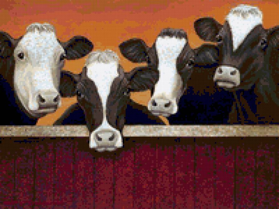 Vacas - animales - предпросмотр