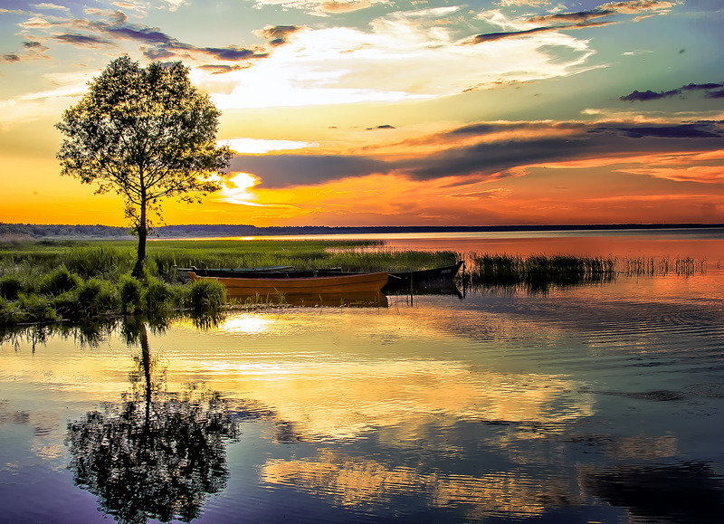 №916390 - красота - оригинал