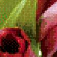 Предпросмотр схемы вышивки «Яркие тюльпаны» (№916466)