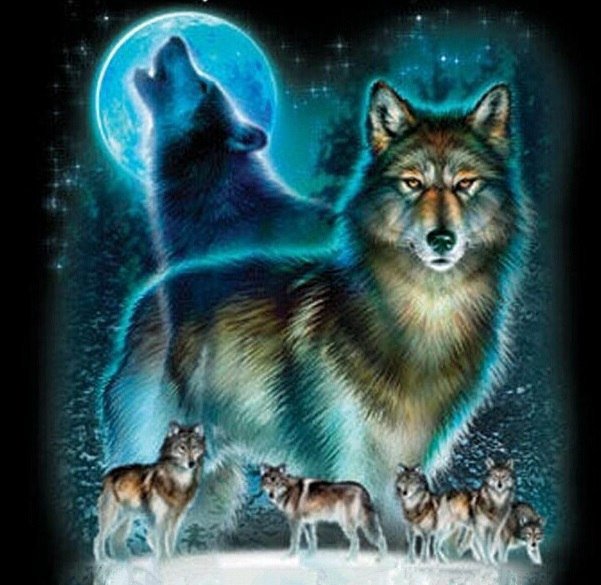 Волки - волки, животные, луна - оригинал