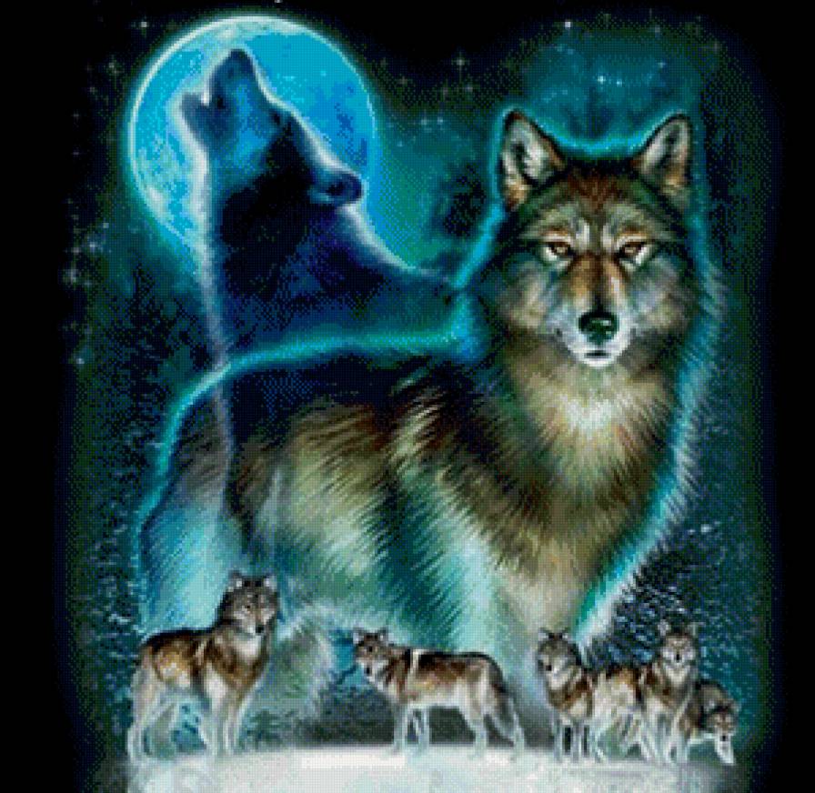 Волки - животные, волки, луна - предпросмотр