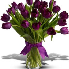 Схема вышивки «№916552»