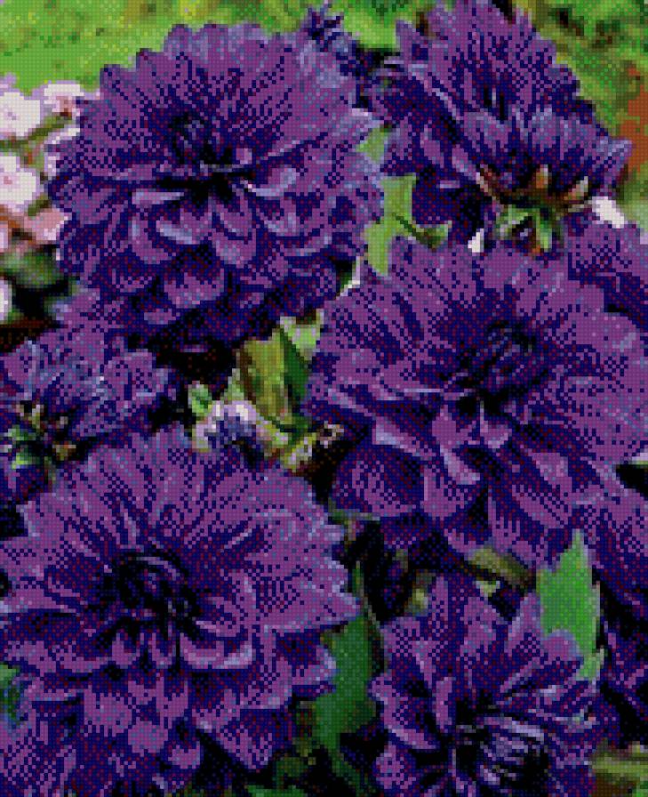 №916557 - предпросмотр