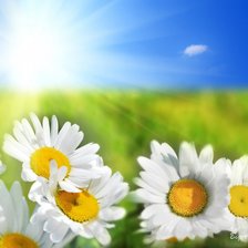 Схема вышивки «№916560»