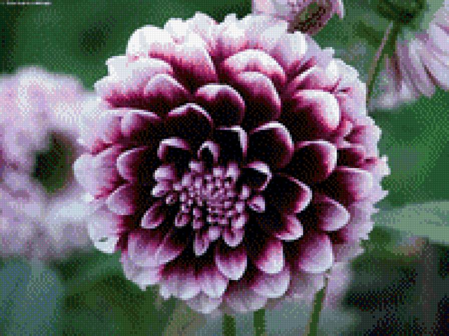 №916571 - предпросмотр