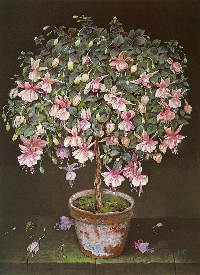 №916617 - оригинал