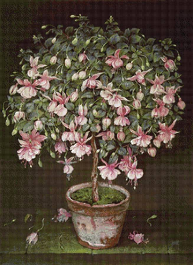 №916617 - предпросмотр