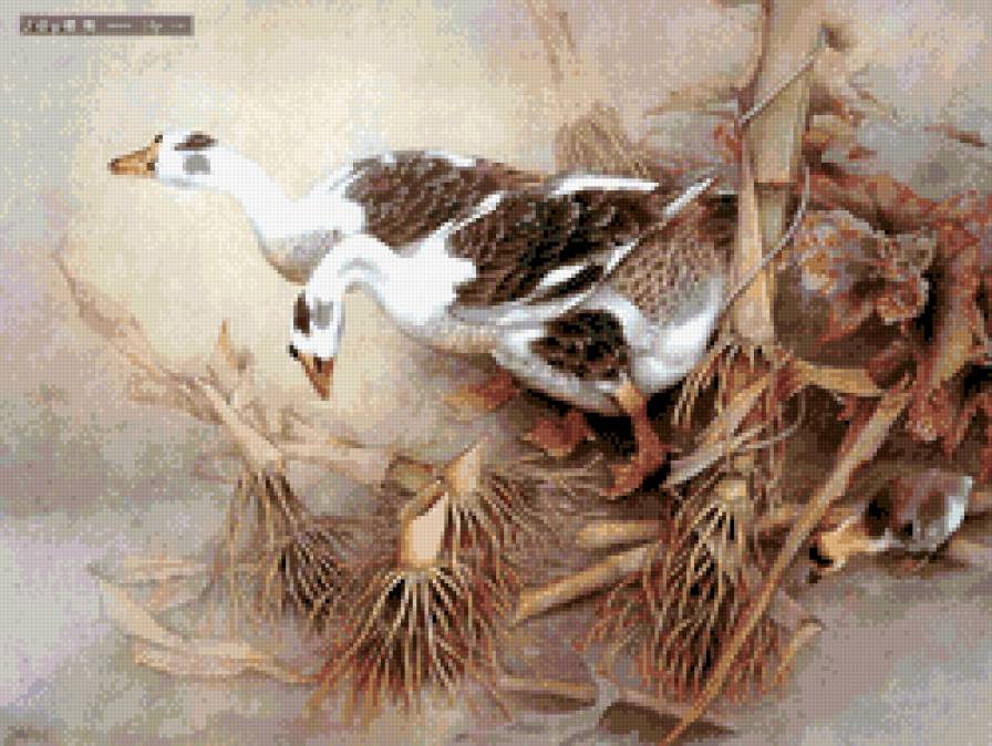 Гуси - гуси - предпросмотр