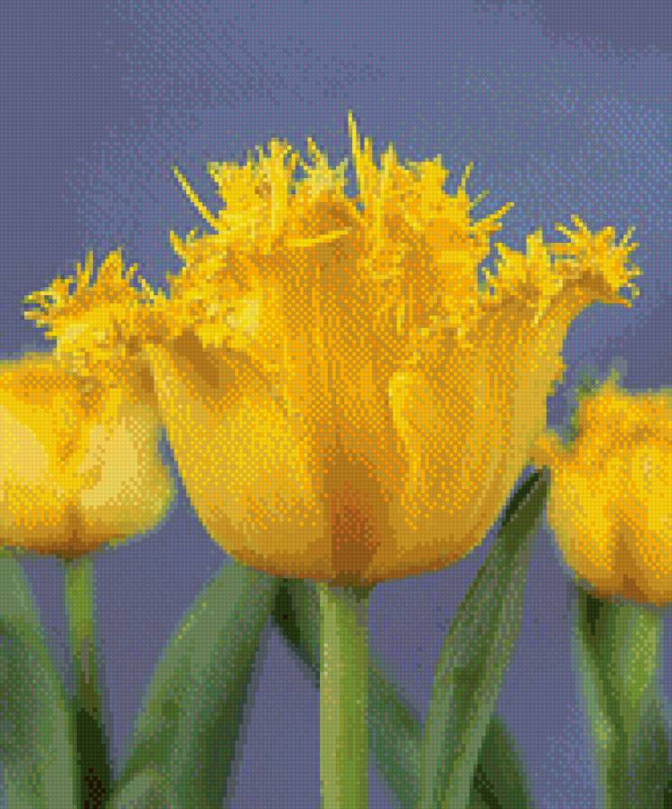 №916720 - предпросмотр