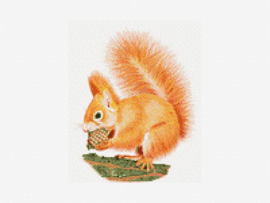 №916723 - предпросмотр