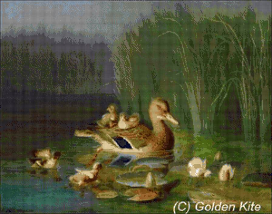 Утка с утятами - утка с утятами - предпросмотр