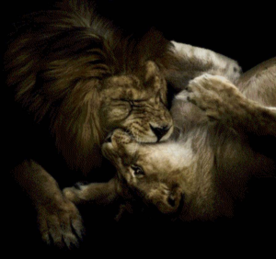 №916990 - предпросмотр