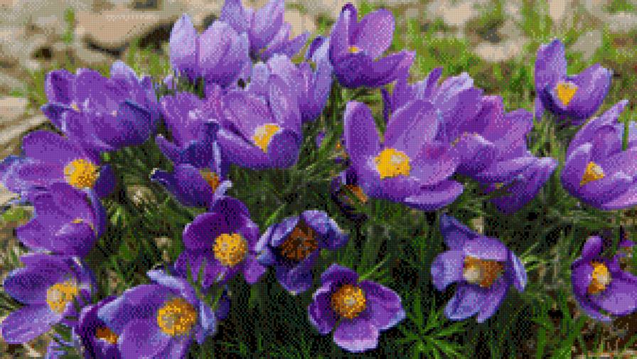 №917034 - предпросмотр