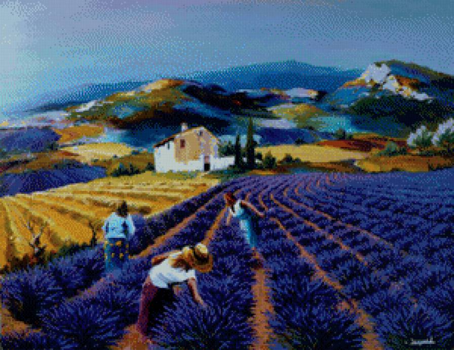 прованс - лаванда, прованс, поле - предпросмотр