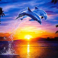 пара дельфинов на закате