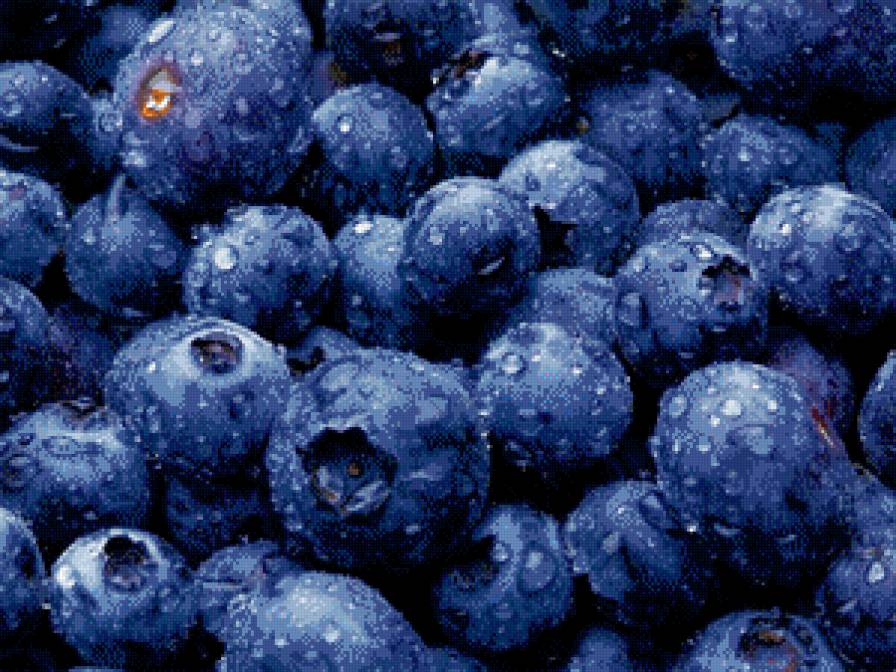 черника - черника, на кухню., ягоды - предпросмотр