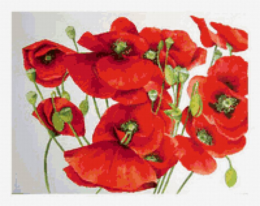 мак - цветы - предпросмотр