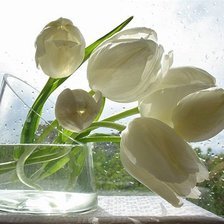 Схема вышивки «тюльпаны»