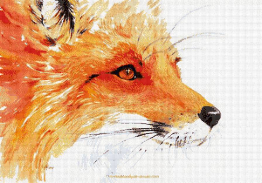 Лис - лиса, дикие животные - предпросмотр