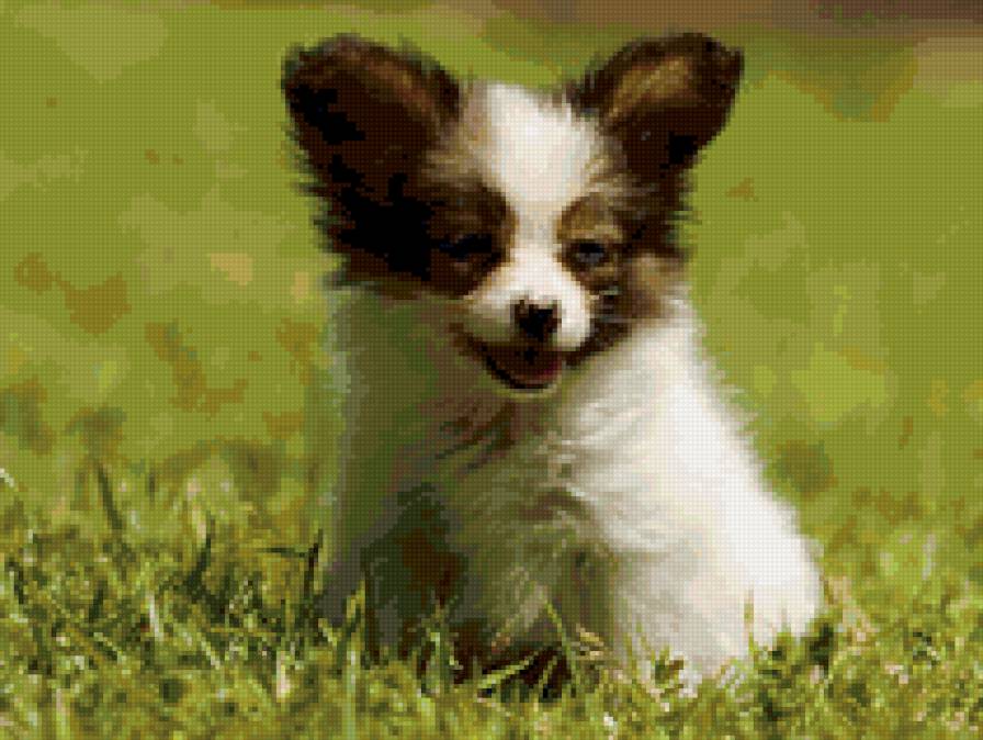 Щенок - животные, щенки, собаки - предпросмотр