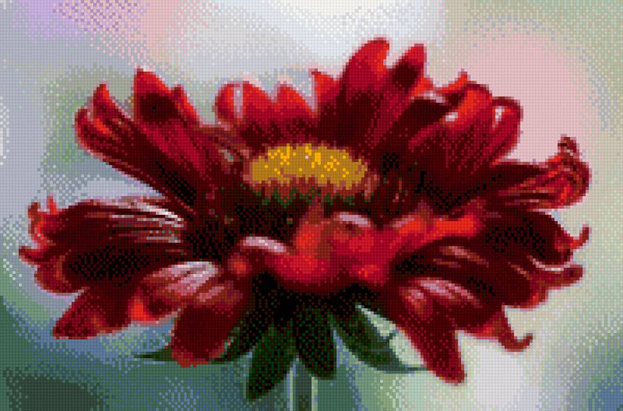 Цветок - предпросмотр