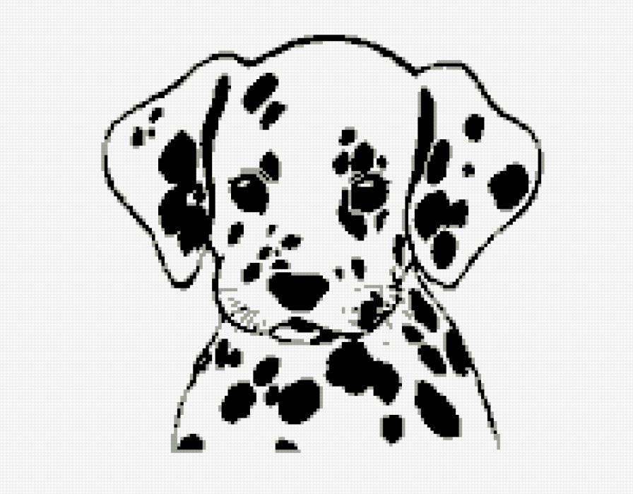 щенок - животные, собаки - предпросмотр