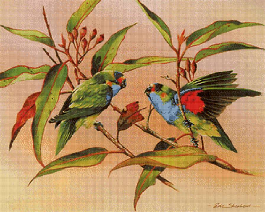 пара неразлучников - попугаи, неразлучники, природа, графика, птицы, ветка, пара - предпросмотр