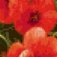 Предпросмотр схемы вышивки «красные маки в белой вазе» (№918606)
