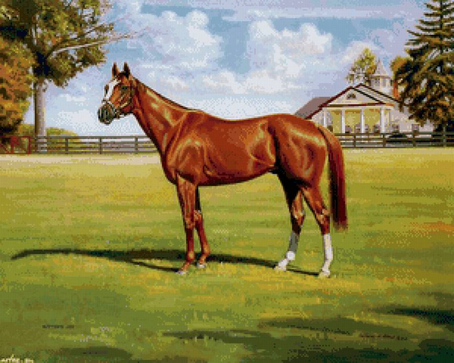породистый скакун - ферма, лошадь, живопись, скакун, животное - предпросмотр