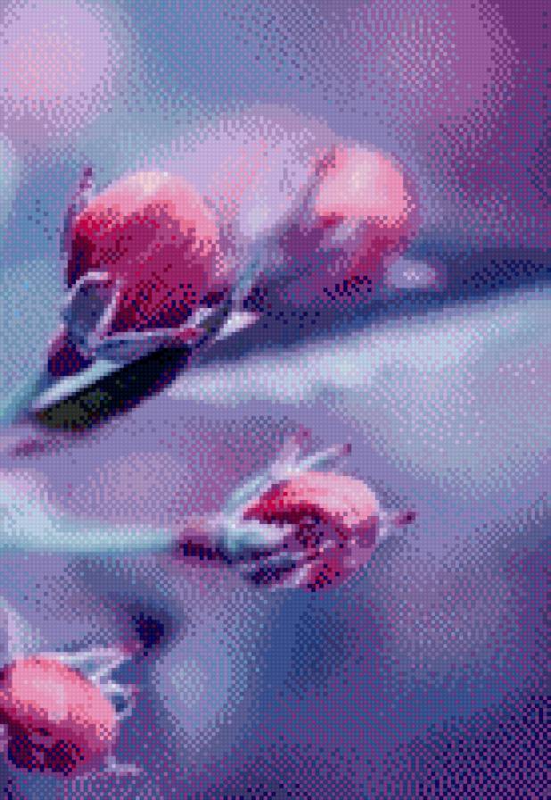 Цветок - предпросмотр