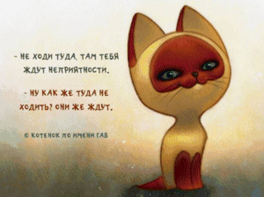 фразы - фразы - предпросмотр