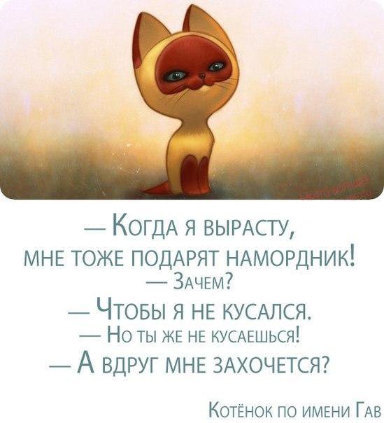 захочется - фразы - оригинал