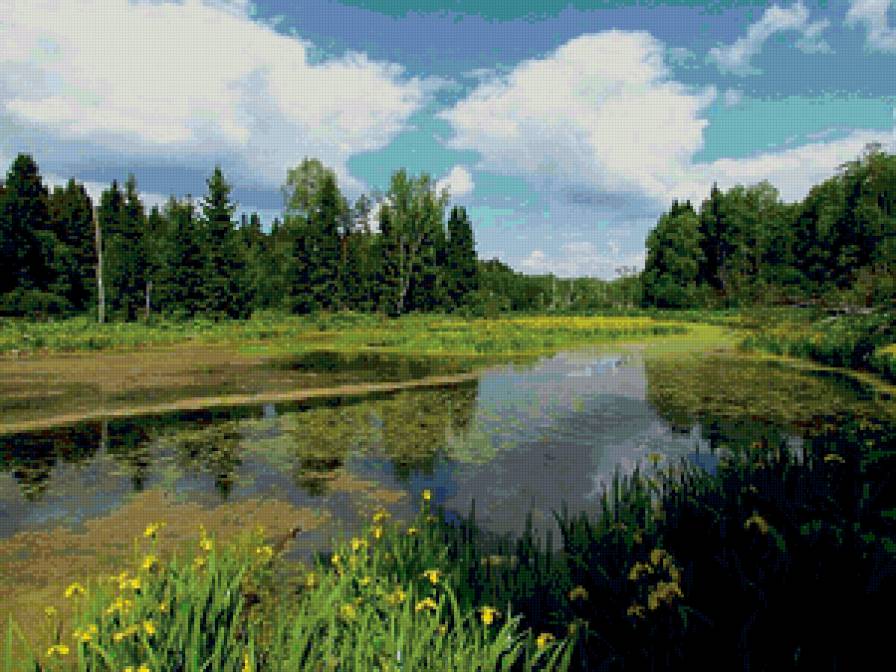 лесная речка - пейзаж, речка, природа, лес - предпросмотр
