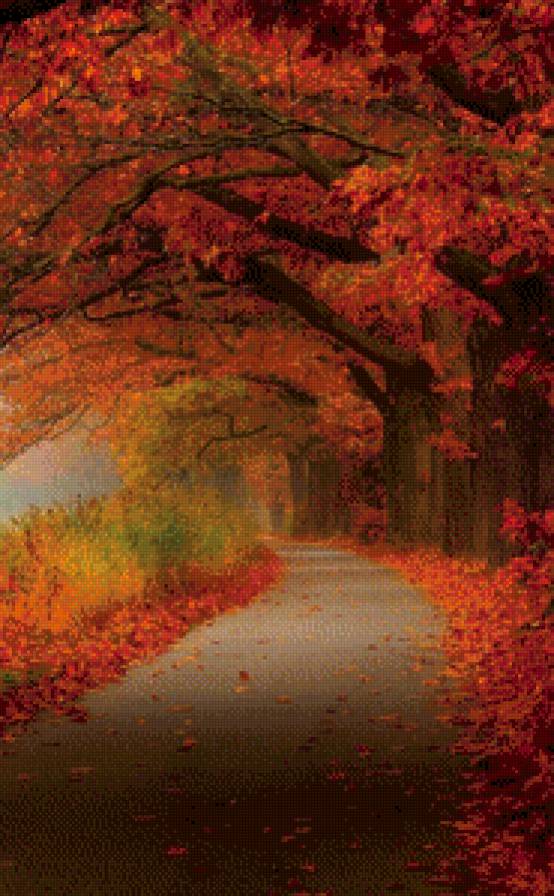 Красная осень - осень, дорога, деревья - предпросмотр