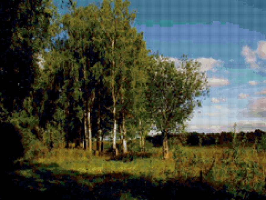 Летний пейзаж - пейзаж, природа, березы - предпросмотр