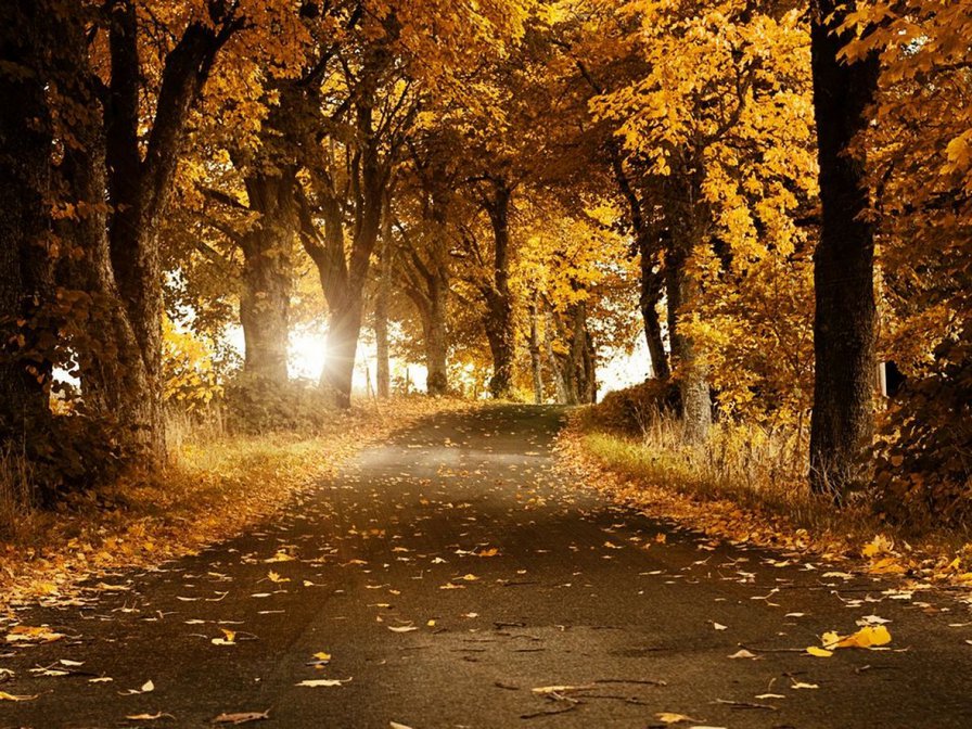 Осенний пейзаж - пейзаж, осень - оригинал