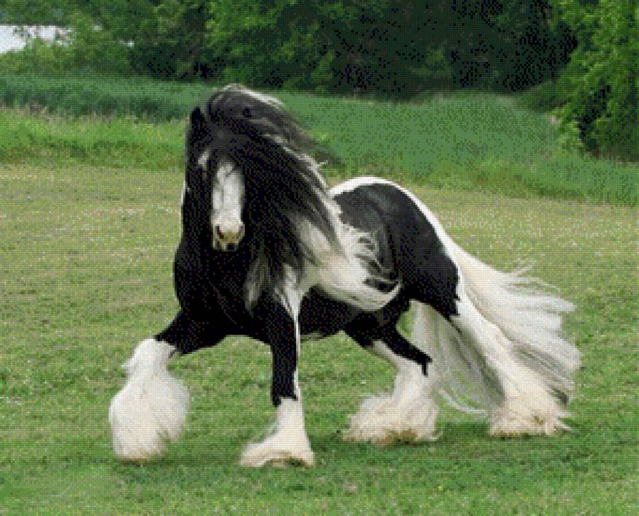 Лошадка - лошади, кони - предпросмотр