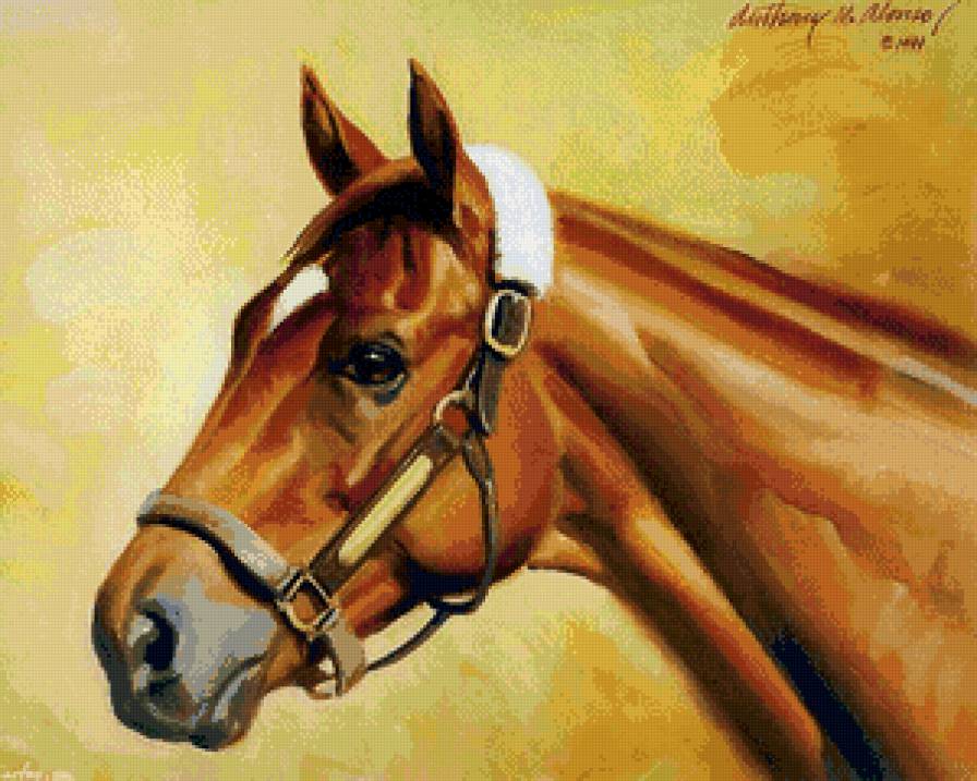 красавица лошадь - животное, природа, конь, лошадь, живопись - предпросмотр