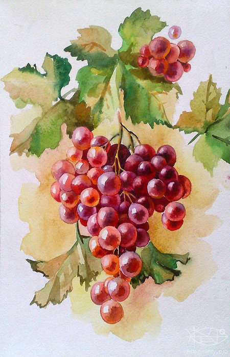 гроздь сочного винограда - акварель, еда, кухня, натюрморт, виноград, гроздь, фрукты, ветка - оригинал