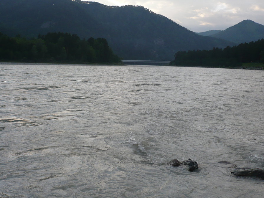 №920096 - оригинал